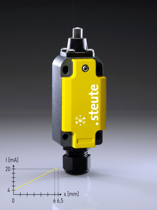 Valve and flap monitoring